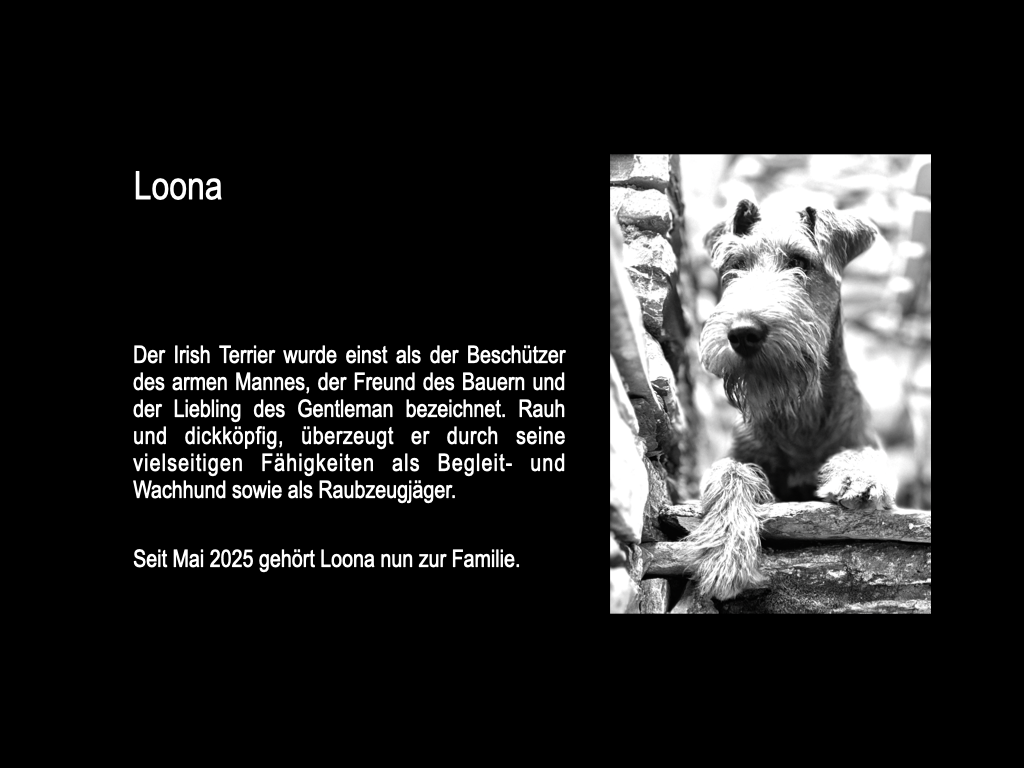 Christian Werner Loona